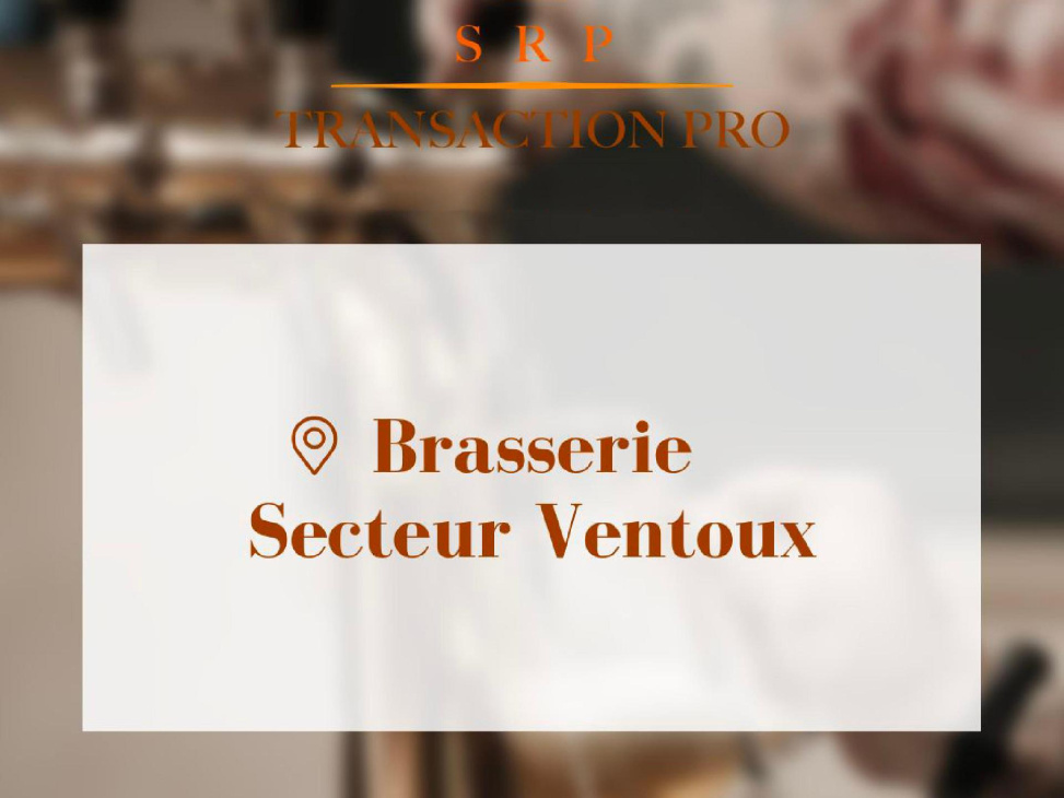 Vente commerce VILLAGE SECTEUR VENTOUX