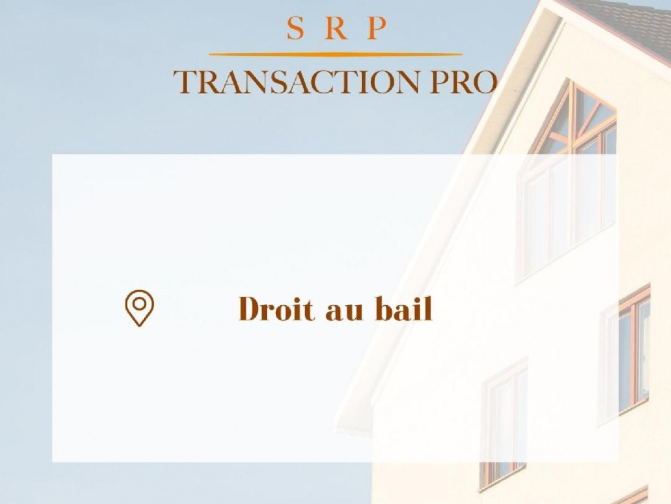 SRP TRANSACTION PRO, VENTE Bureaux / Locaux, réf : 2135 / 716862