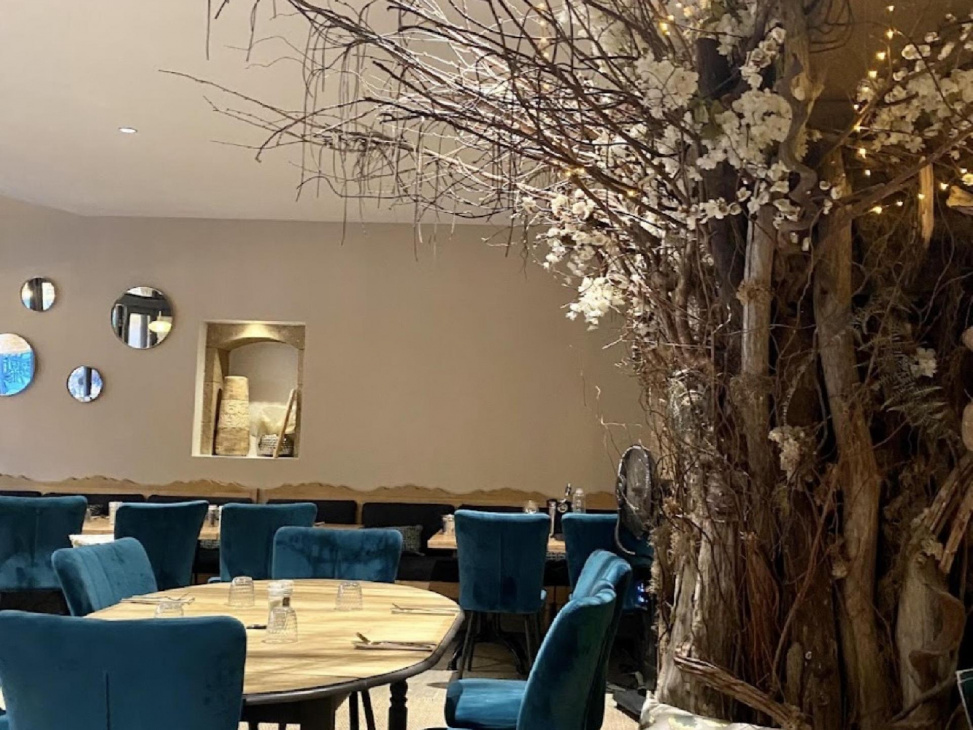 <?= $mots_clef_img ?>